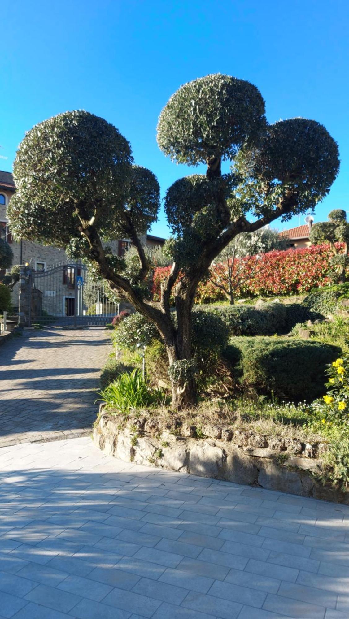 ホテル Al Vecchio Lavatoio Colle Brianza エクステリア 写真